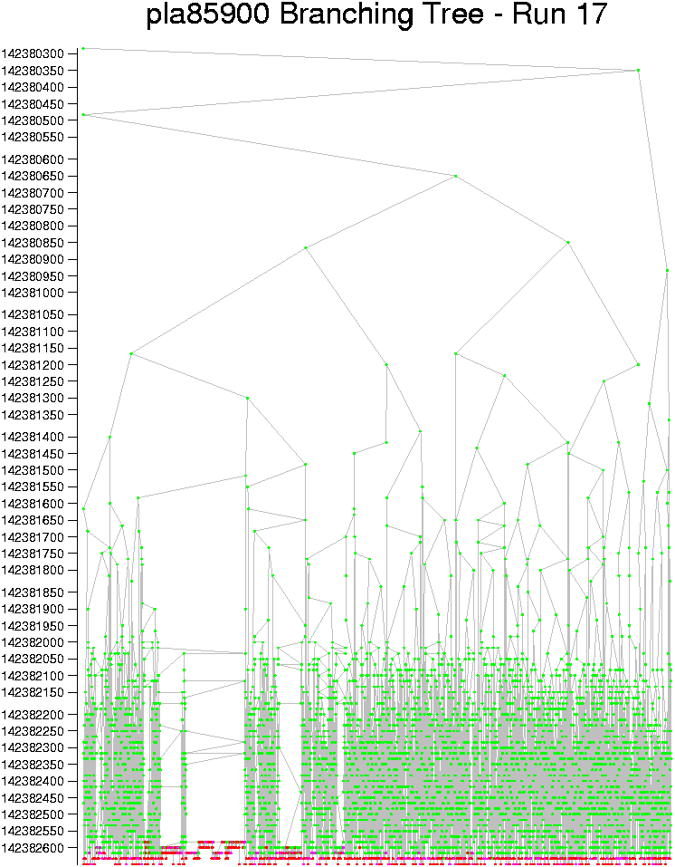 pla85900 tree 17