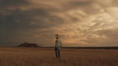 Stockholm Film Festival / The Rider 