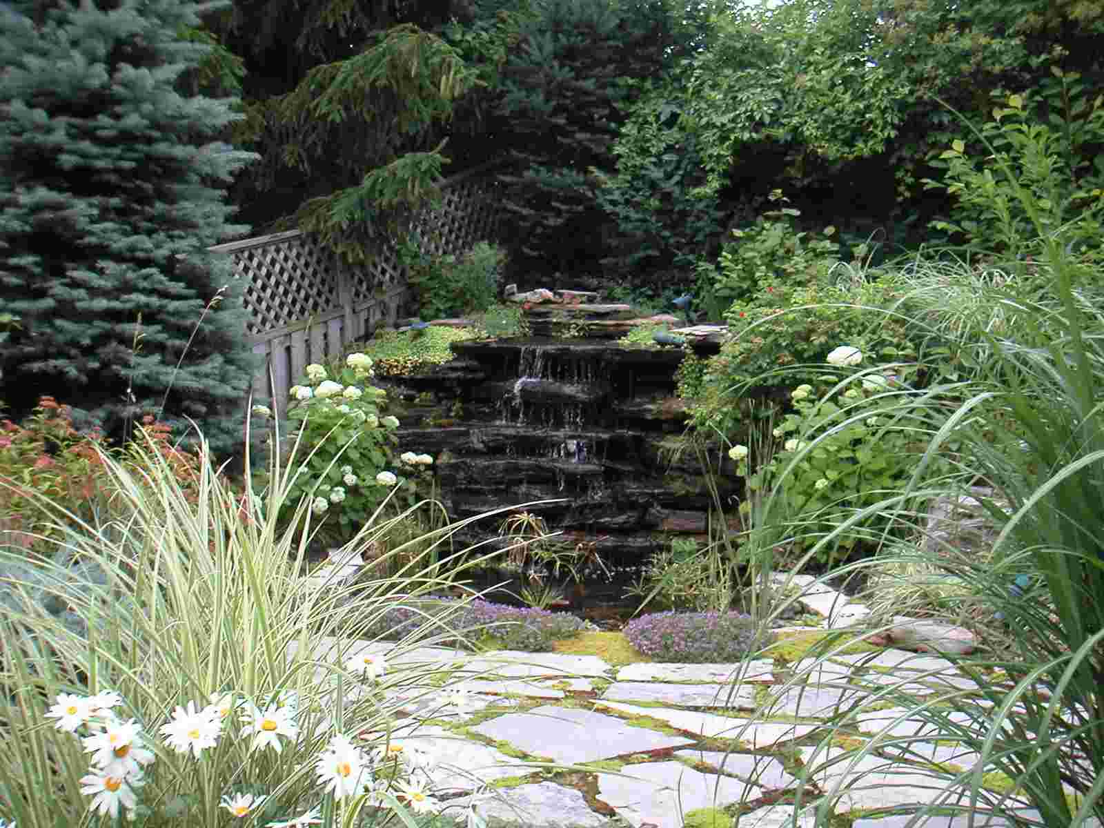 The waterfall in our backyard 